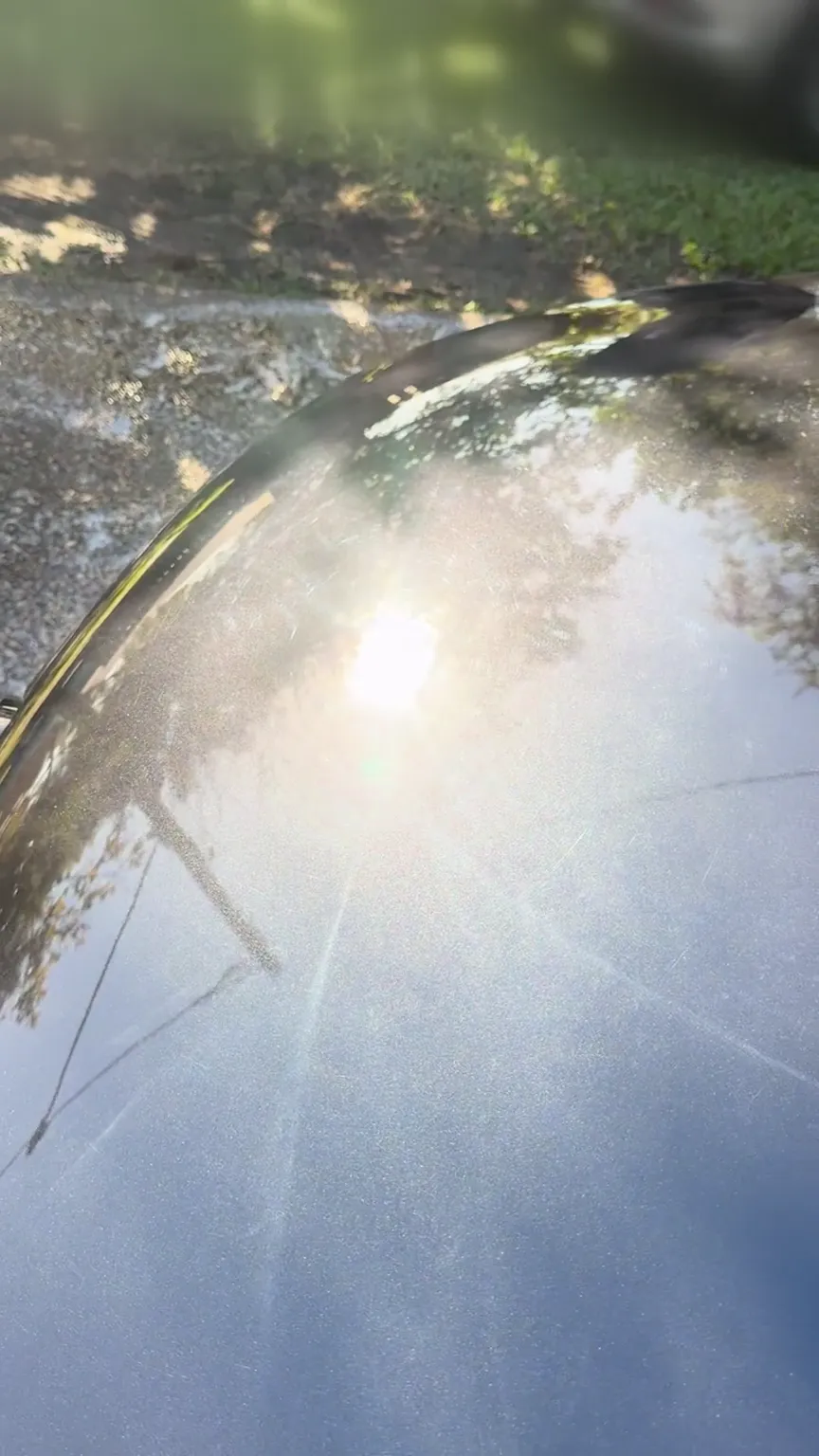 Dust and water spots over black paint before ceramic coating