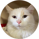 David Cawthorne profile picture